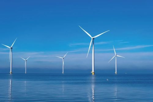 ”防腐卫士”侯保荣